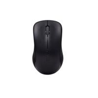 موس بی سیم رپو مدل Rapoo 1620