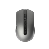 موس بی سیم رپو مدل Rapoo 7200M